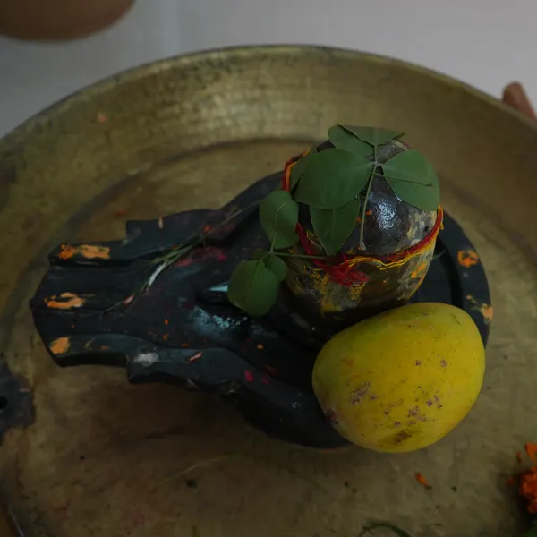 Looking down on the Shivling, bel patra on the crown, red and yellow mauli around the stone, a yellow lemon on the hammered brass platter.