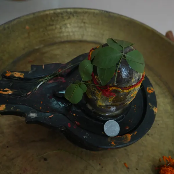 Black Shivling with bel patra on top, a silver coin on the yoni, saffron paste on the brass tray, a marigold at the edge of the frame.