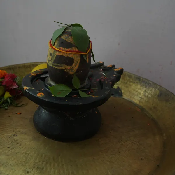 Shivling marked with yellow and orange tripundra, bel leaves and a mauli thread, flowers and a lemon at the left of the brass tray.