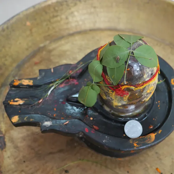 High angle on the Shivling in its brass tray, bel leaves on the stone, a coin on the base, traces of sindoor on the hammered metal.